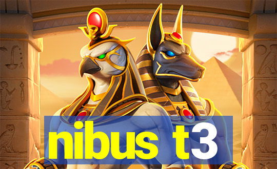 nibus t3